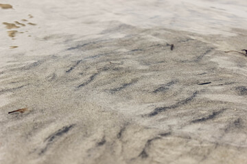 Sandy bottom of the lake in summer with clear water.