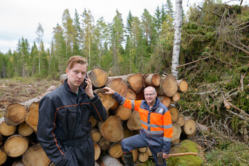 Mature man checking chopped wood with young man using phone outside the forest