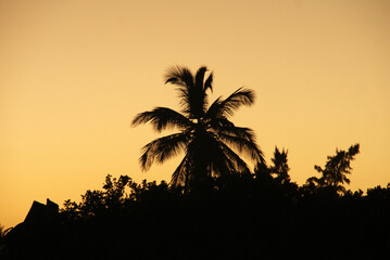 at sunset on a caribbean beach in summer