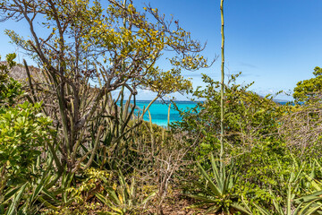 Saint Vincent and the Grenadines, Tobago Cays