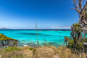 Saint Vincent and the Grenadines, Sailboats on mooring in Tobago Cays