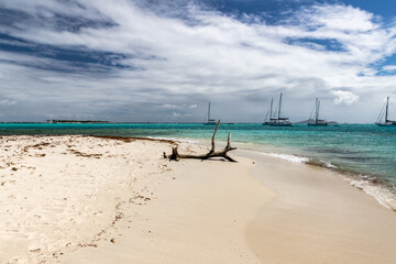 Saint Vincent and the Grenadines, Sailboats on mooring in Tobago Cays