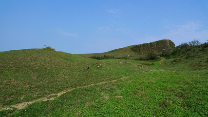 Naklejka premium Sunny view of the beautiful grassland of Taoyuan Valley