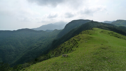 Fototapeta premium Sunny view of the beautiful grassland of Taoyuan Valley