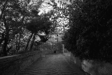 Fototapeta premium a steep descent leads from the old medieval village to the modern city