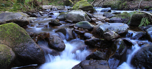 Obraz premium waterfall in the forest
