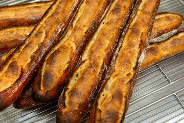 焼きたてのバゲット　フランスパン