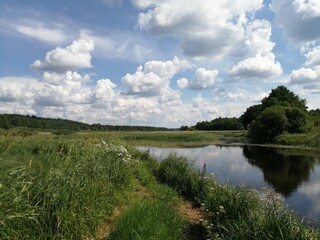 Fototapeta na wymiar summer landscape with river