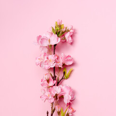 Fototapeta na wymiar Artificial flowers blooming cherry closeup on pink background