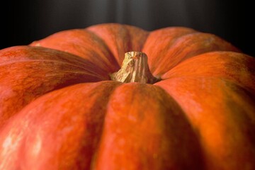 PUMPKIN CLOSEUP