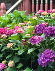 Pink, Purple, and Cream in the Garden