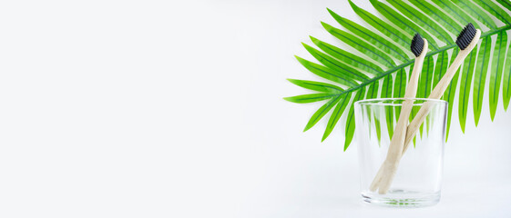 Bamboo toothbrushes in a glass on the background of a palm leaf, on a white background. Personal hygiene concept, dentistry, zero waste, environmentally friendly. Banner. Copy space