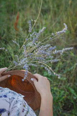 hand holding lavender