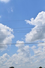 Power Lines