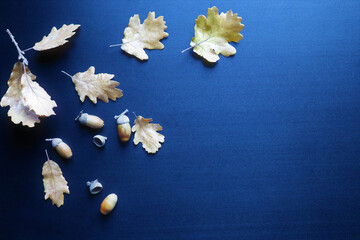 oak leaves and acorns on a black background.