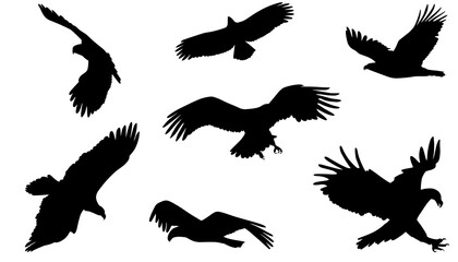set of eagle silhouette, shadow flat design vector illustration 