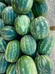 watermelons on market
