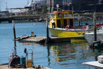 Fototapeta na wymiar Porto de barcos