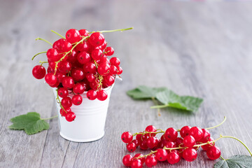 Bright red berries of red currant in a white metal bucket on a gray background.