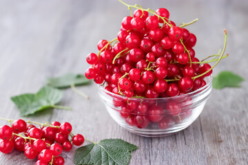 Organic red currants in a white glass bowl on a gray background.