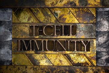 T-Cell Immunity text formed with real authentic typeset letters on vintage textured silver grunge copper and gold background