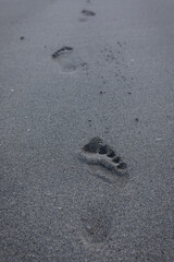 human footsteps on a wet sandy beach, close up.