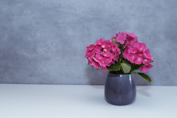 Beautiful pink hortensia in a vase.
