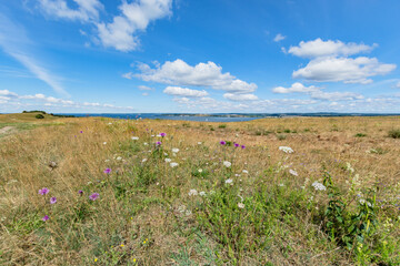 Groß Zicker, Halbinsel Mönchgut, Rügen