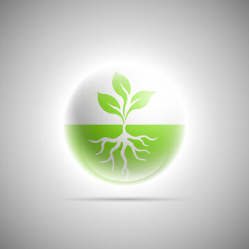 organic luminous sphere, Young plant shoots with roots button icon for ecological topics. Natural logo. Organic badge