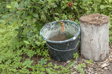 An old iron bucket under the rubbish, standing on the grass