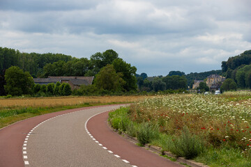 South Limburg hillside with the wine yards under a dramatic sky and in the foreground blooming wild flowers and poppy flowers
