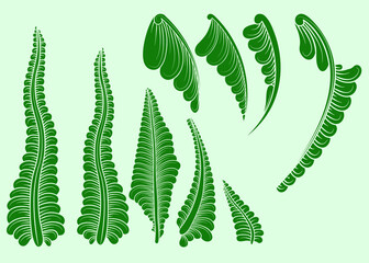 set of decorative elements for design