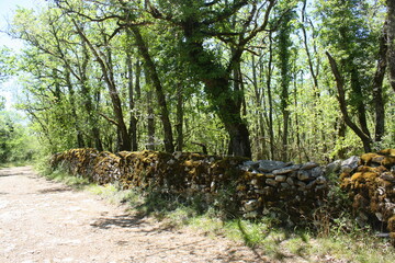 paysage de mur en pierres sèches en occitanie ,france