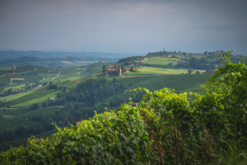 Langhe vineyards panorama, near Barolo, Unesco Site, Piedmont, Northern Italy Europe
