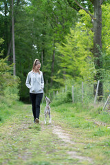 junge Frau geht im Frühling mit Hund im Wald spazieren - Whippet, Windhund 3 Jahre alt