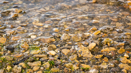 Shell rock stone bottom of river