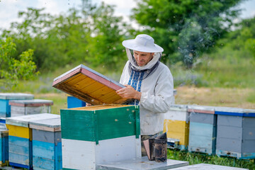 Beekeeper in protective workwear. Hives background at apiary. Works on the apiaries in the spring.