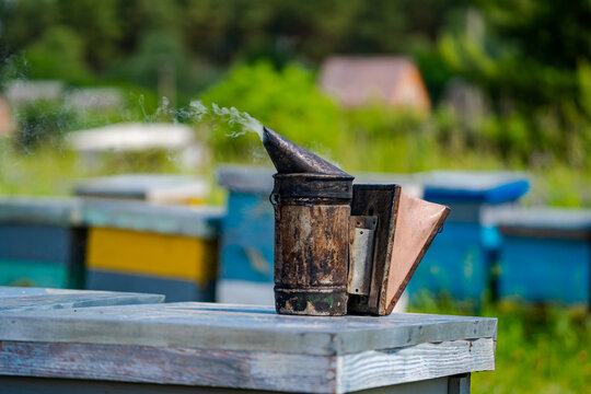 Closeup of bee smoker on hive. Hives in an apiary with bees flying to the landing boards. Apiculture.