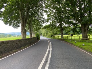 Fototapeta na wymiar Road leading from Eshton, to Gargrave, lined with old trees, dry stone walls, and fields near, Gargrave, Skipton, UK