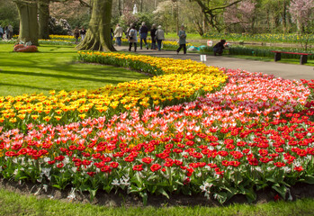 Lisse, Netherlands;  People enjoying a  walk through a botanical garden near Lisse.