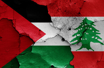 flags of Palestine and Lebanon painted on cracked wall