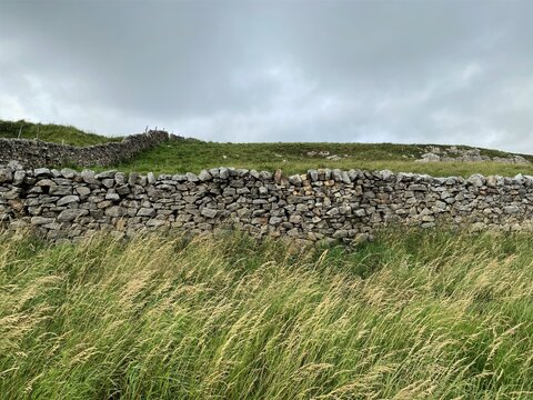 A dry stone wall, high on the hills, with long grasses in the foreground, and a heavy clouded sky near, Skipton, Yorkshire, UK