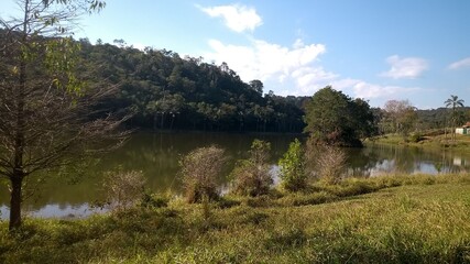 Fototapeta premium lake and forest