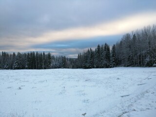 winter landscape with snow