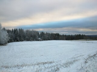 snow covered field