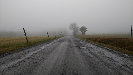 Foggy old road
