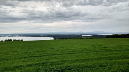 green field