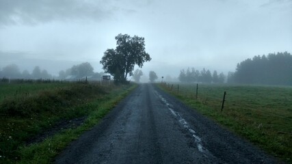 Fototapeta na wymiar old road in the fog