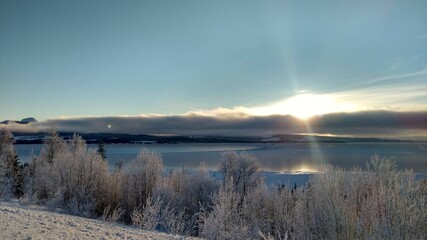 Sun in wintertime