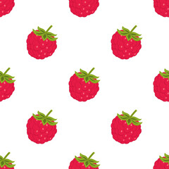 raspberry seamless pattern isolated on white background